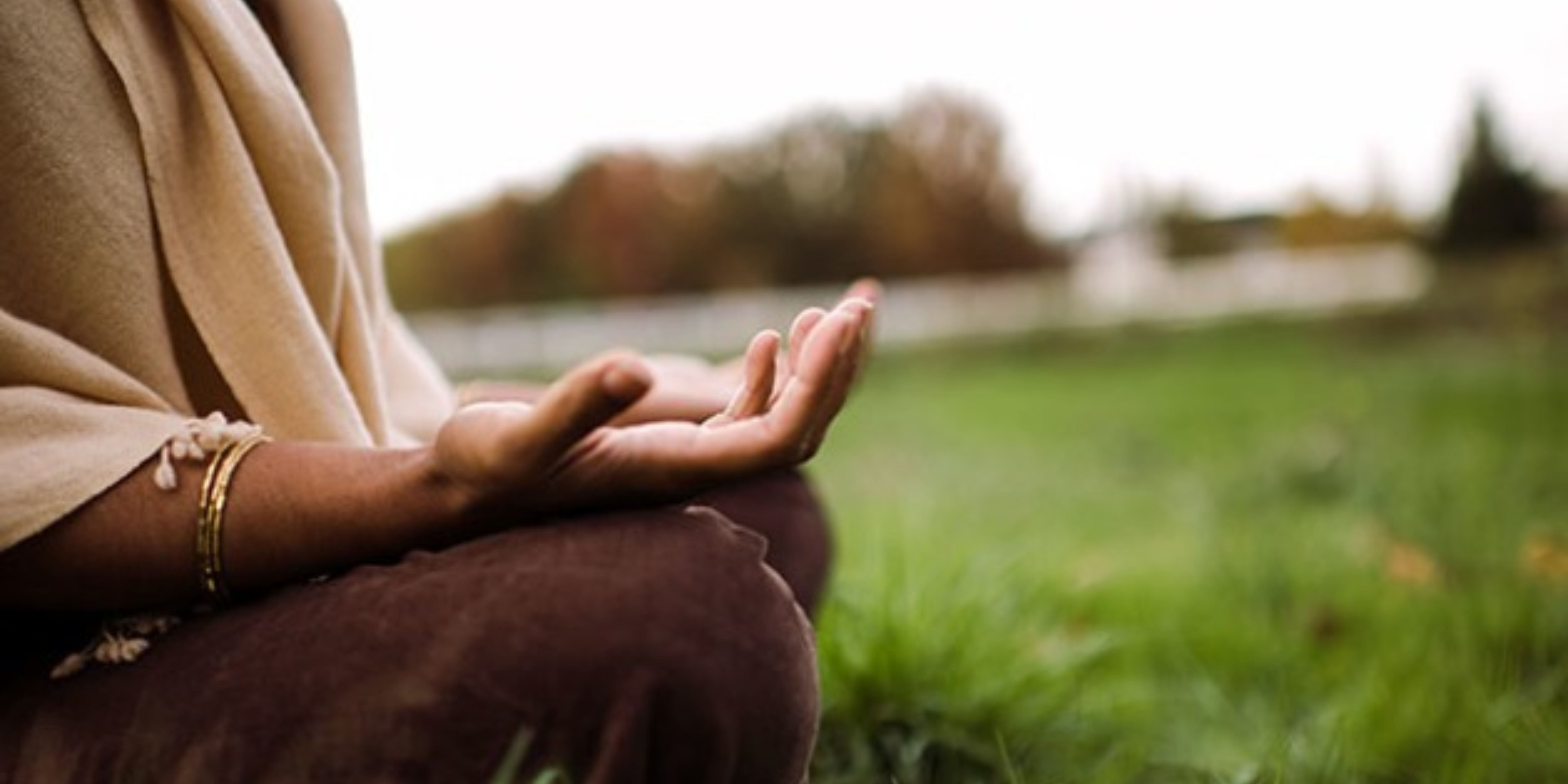 life-care-ayurveda-best-ayurvedic-doctor-near-me-ayurvedic-product